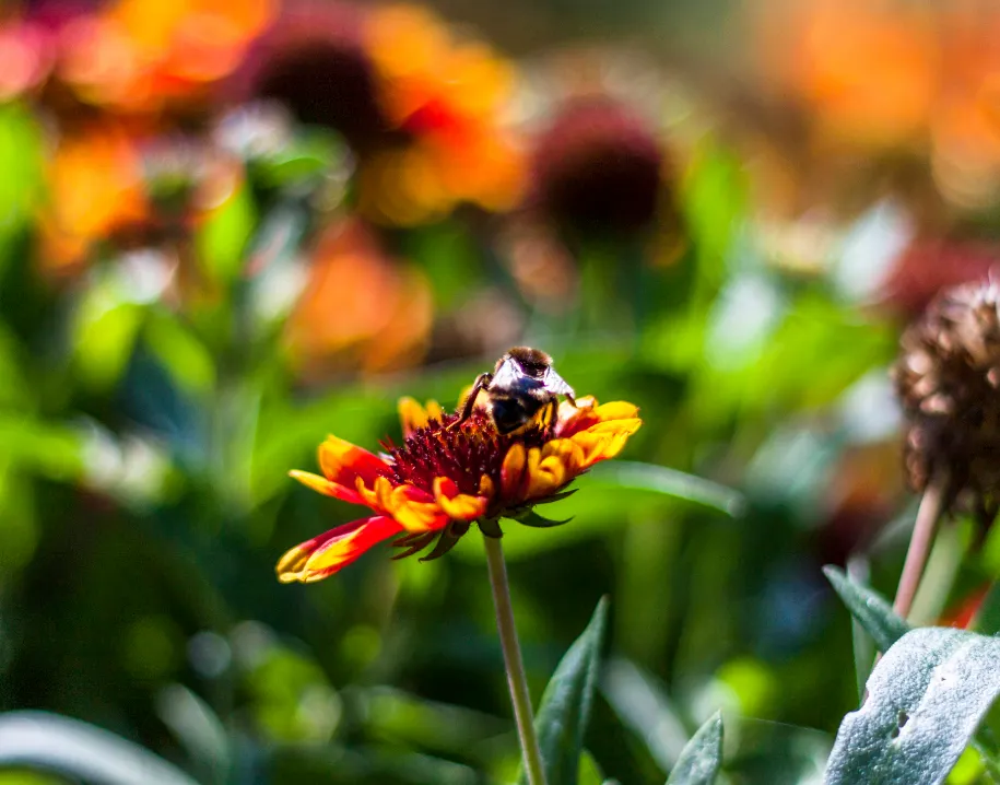 ontwerp zonder titel 2021 04 24t073728649