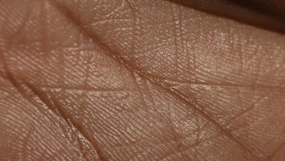 ontwerp zonder titel 2021 05 05t080519293