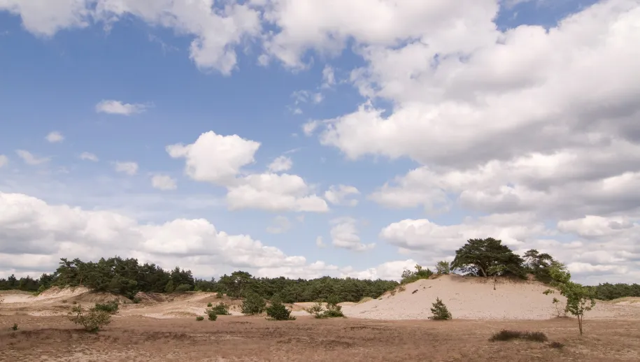 ontwerp zonder titel 2021 05 08t064337801