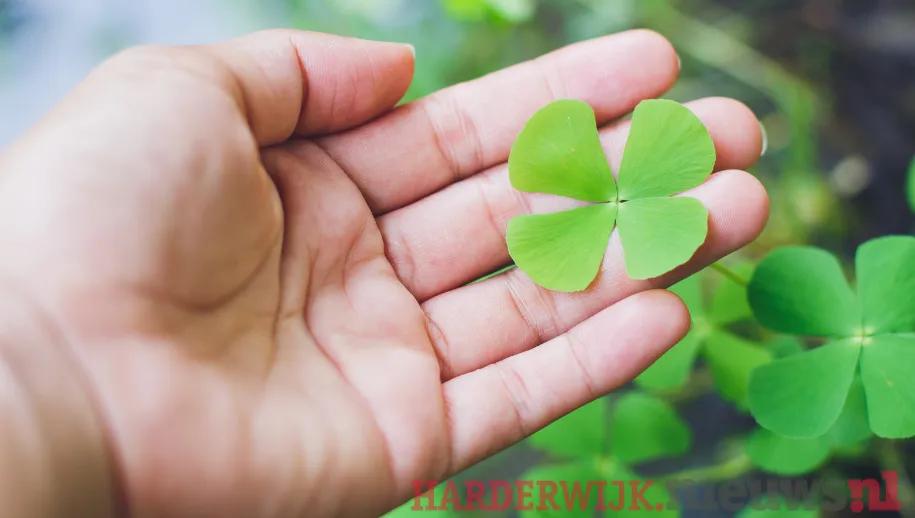 ontwerp zonder titel 2021 05 17t130820788