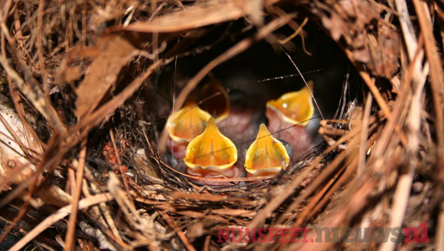 ontwerp zonder titel 2021 06 03t140322153