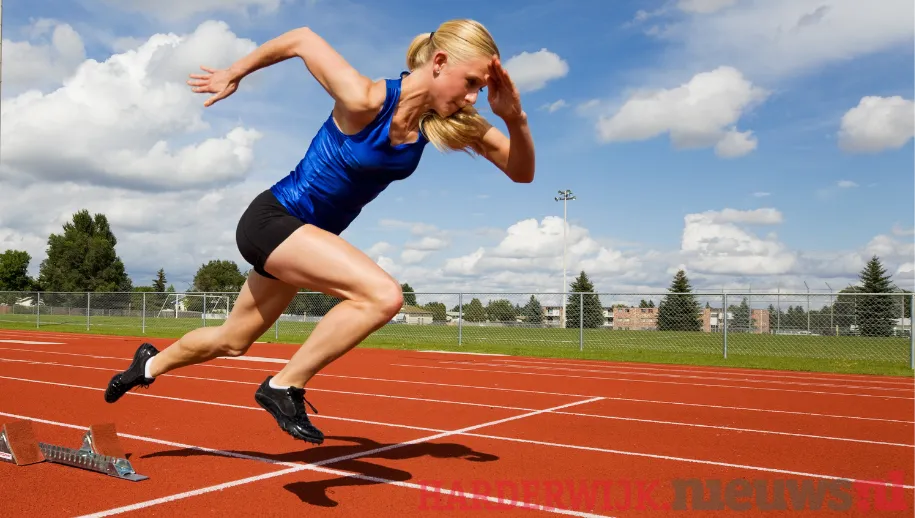 ontwerp zonder titel 2021 09 10t142834152