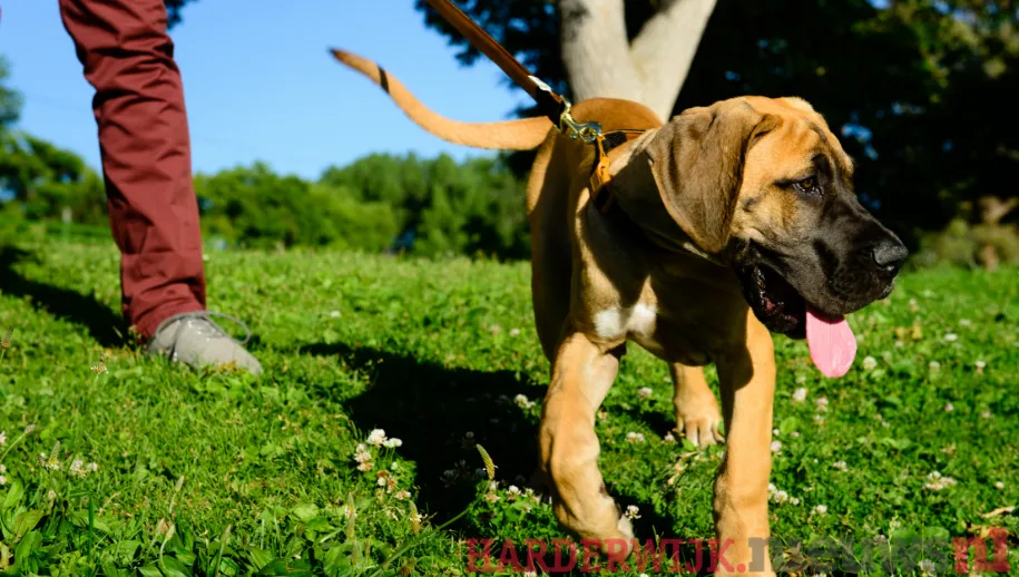 ontwerp zonder titel 2021 09 21t102721220