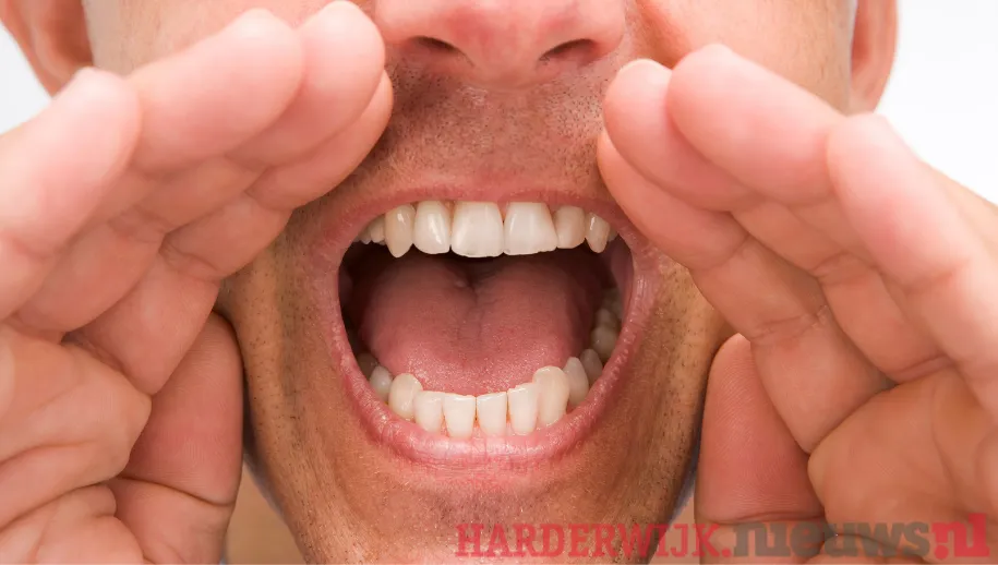 ontwerp zonder titel 2021 09 28t090231040