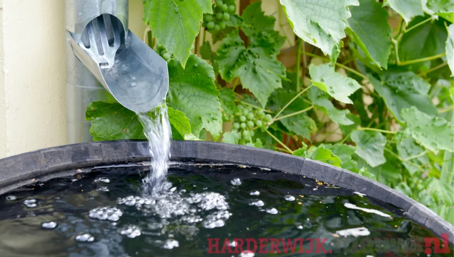 ontwerp zonder titel 2021 11 23t063640906