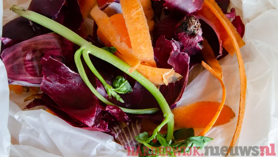 ontwerp zonder titel 2022 01 31t151739673