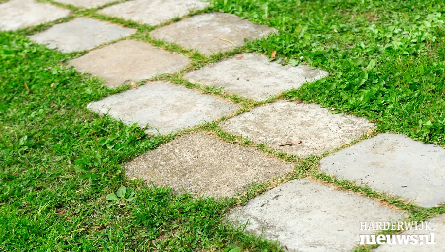 ontwerp zonder titel 2022 03 23t100101846