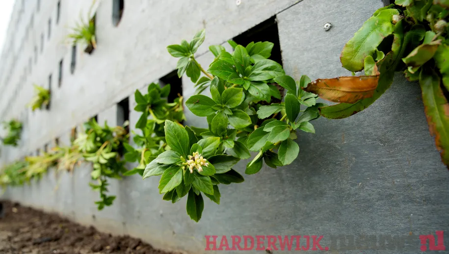 ontwerp zonder titel 23