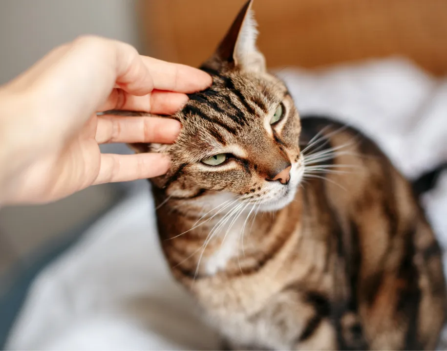 ontwerp zonder titel 27