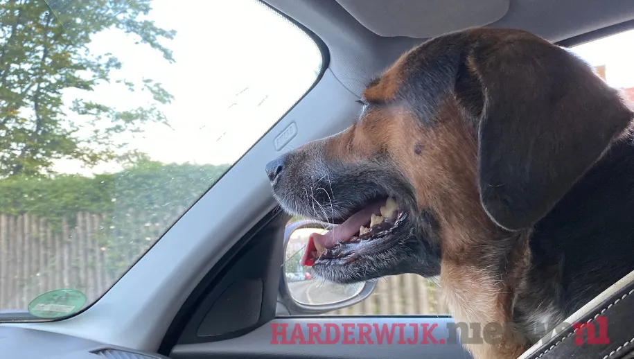 ontwerp zonder titel 28