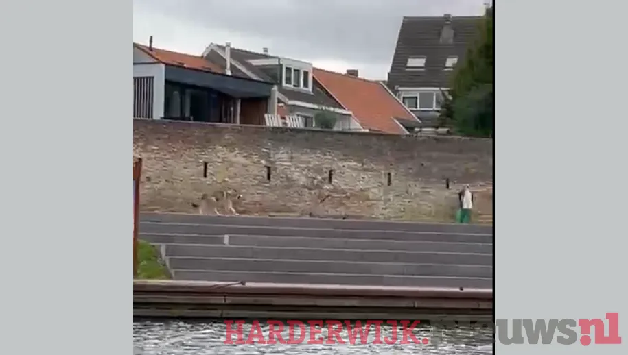 ontwerp zonder titel 32 1