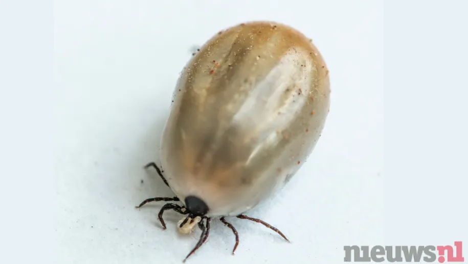 ontwerp zonder titel 36