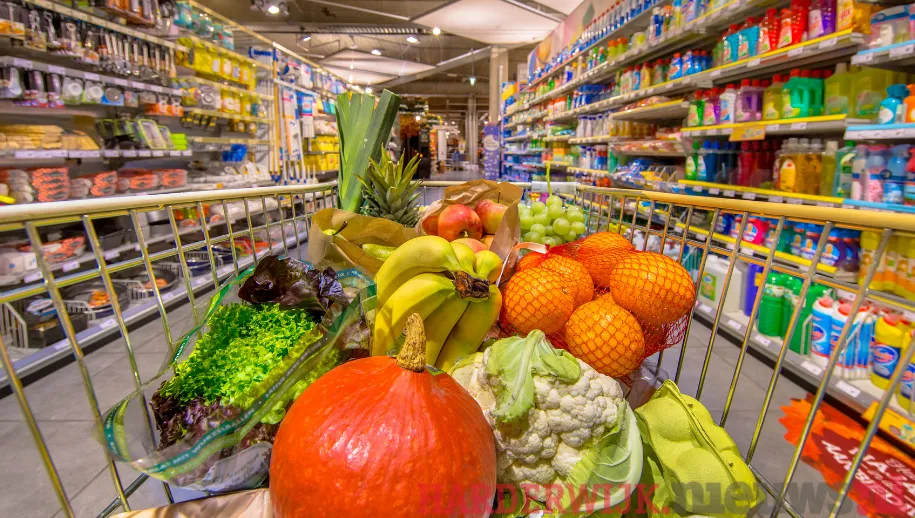 ontwerp zonder titel 40