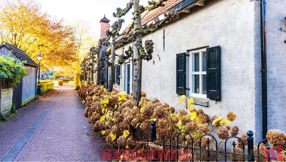 ontwerp zonder titel 41