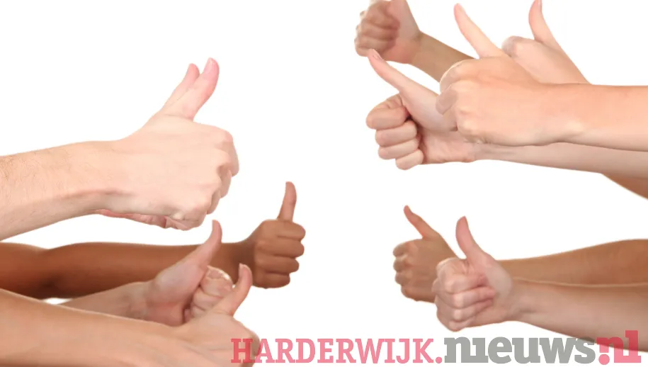 ontwerp zonder titel 45