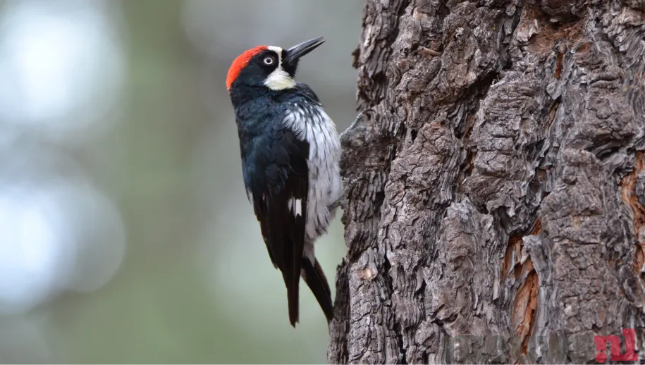 ontwerp zonder titel 5