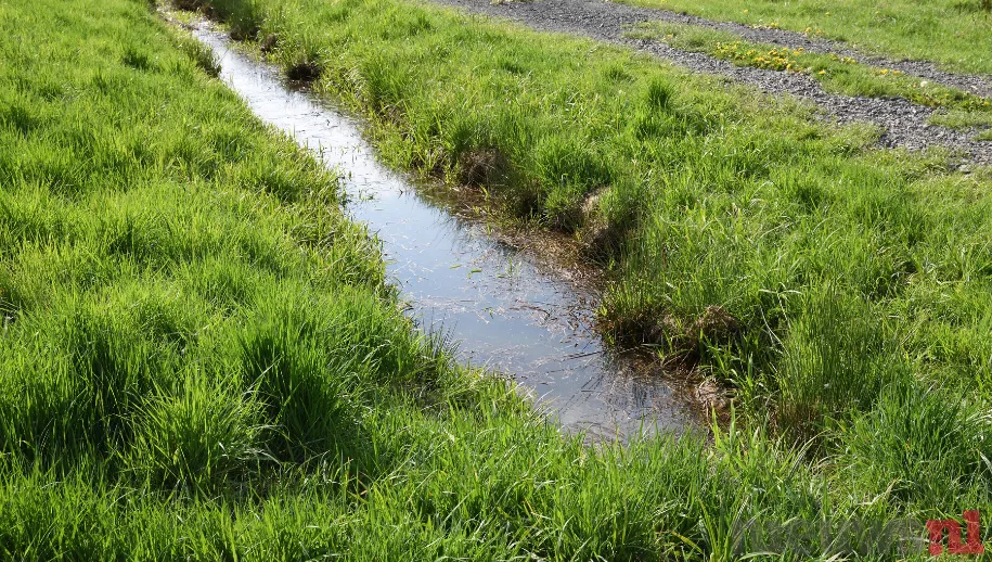 ontwerp zonder titel 50