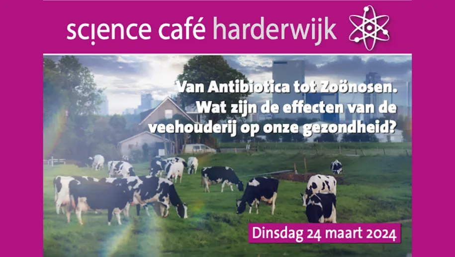 ontwerp zonder titel 6