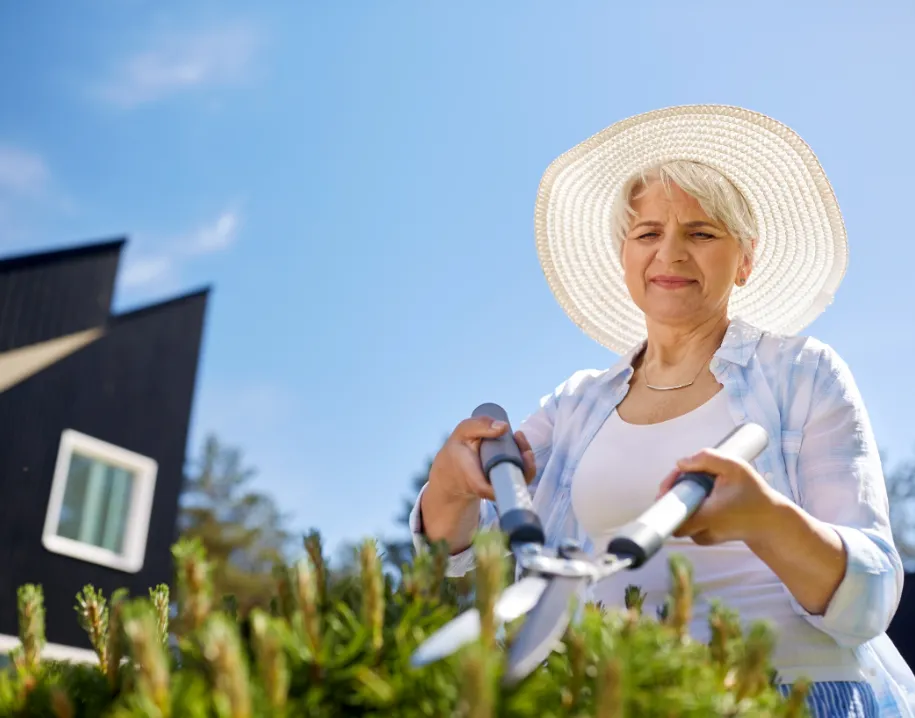 ontwerp zonder titel 77