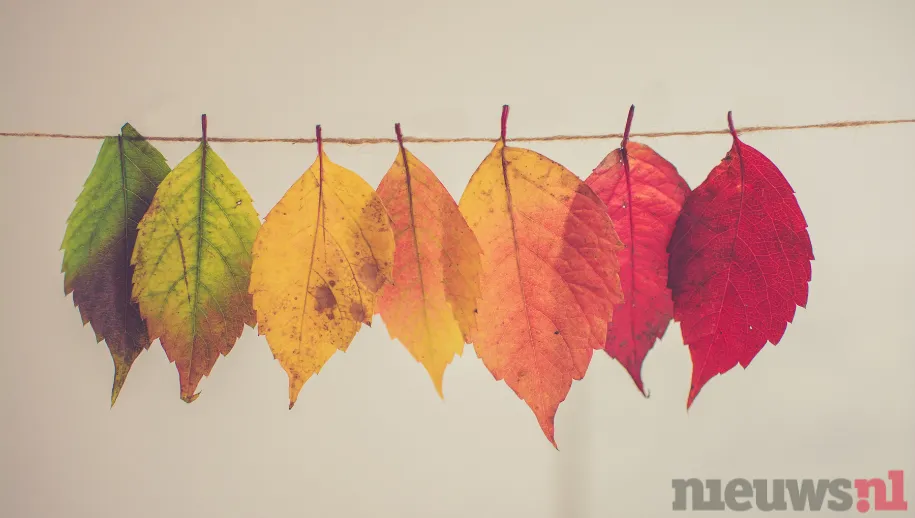 ontwerp zonder titel 8