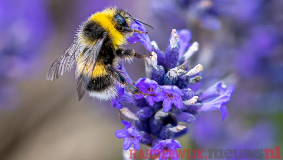 ontwerp zonder titel 87