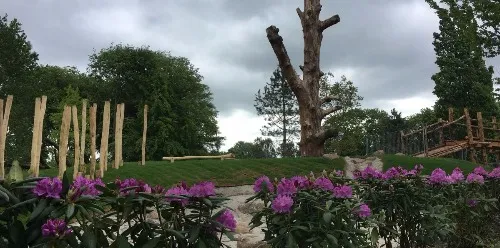 oude eik gemeente harderwijk