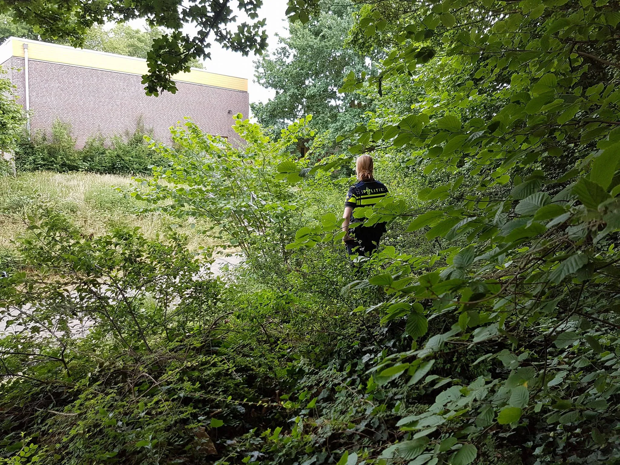 politie stadsweiden bosjes snoeproute