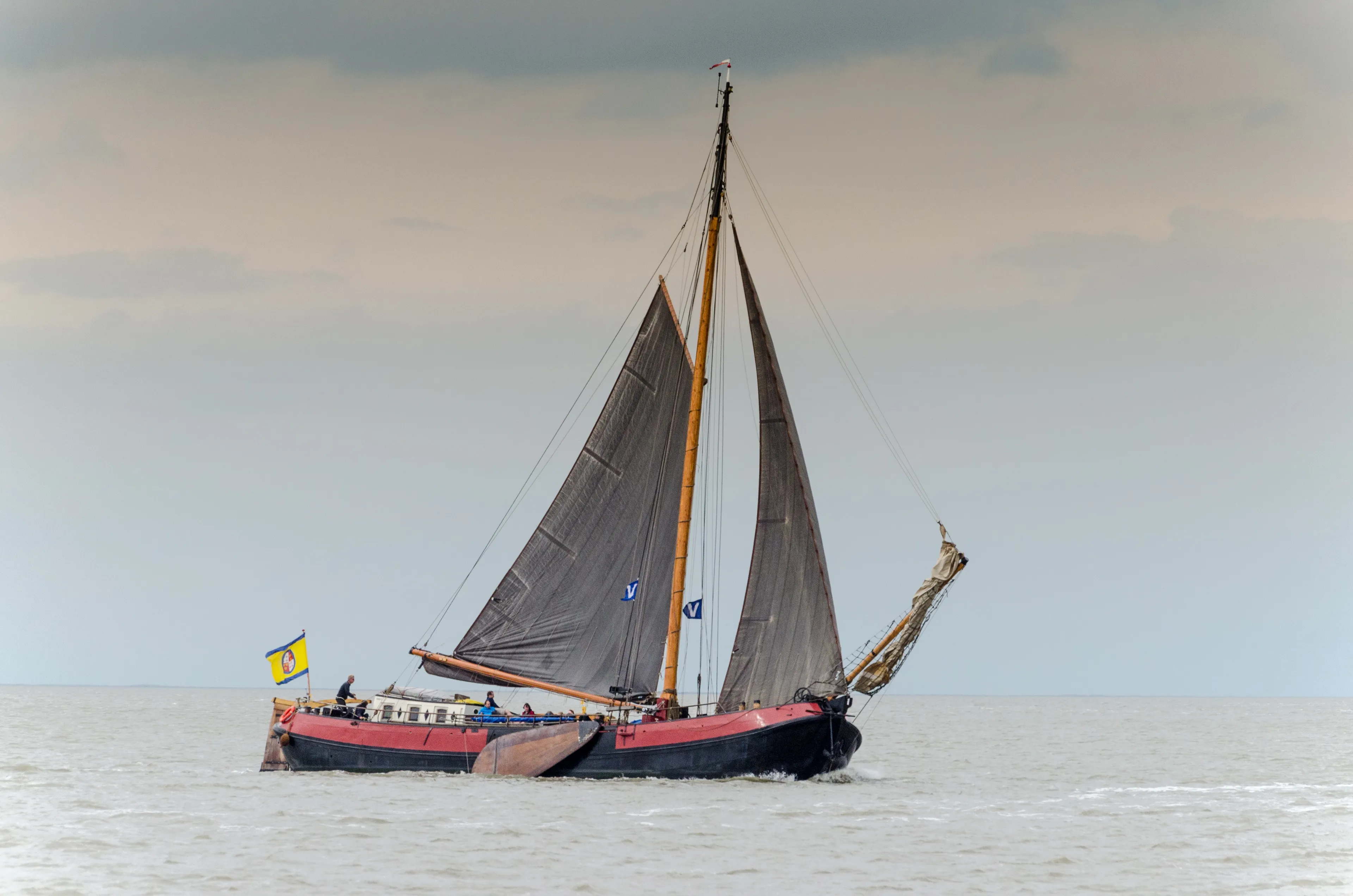 sailing 443406