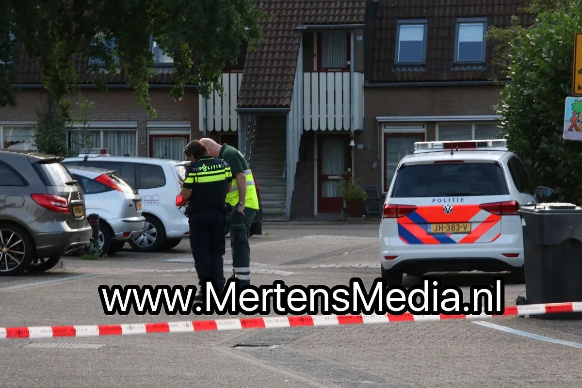 steekpartij houtkamp