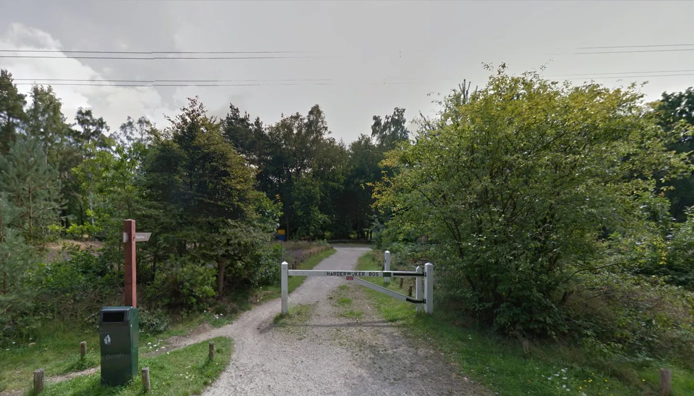 trimbaan cooperbaan harderwijker bos google street view
