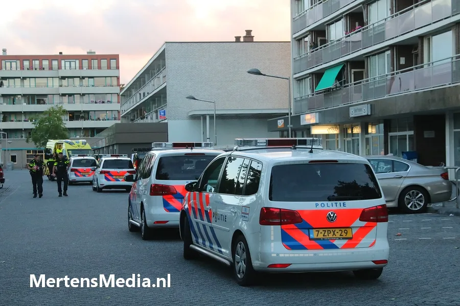 vechtpartij stadsdennen mertens media