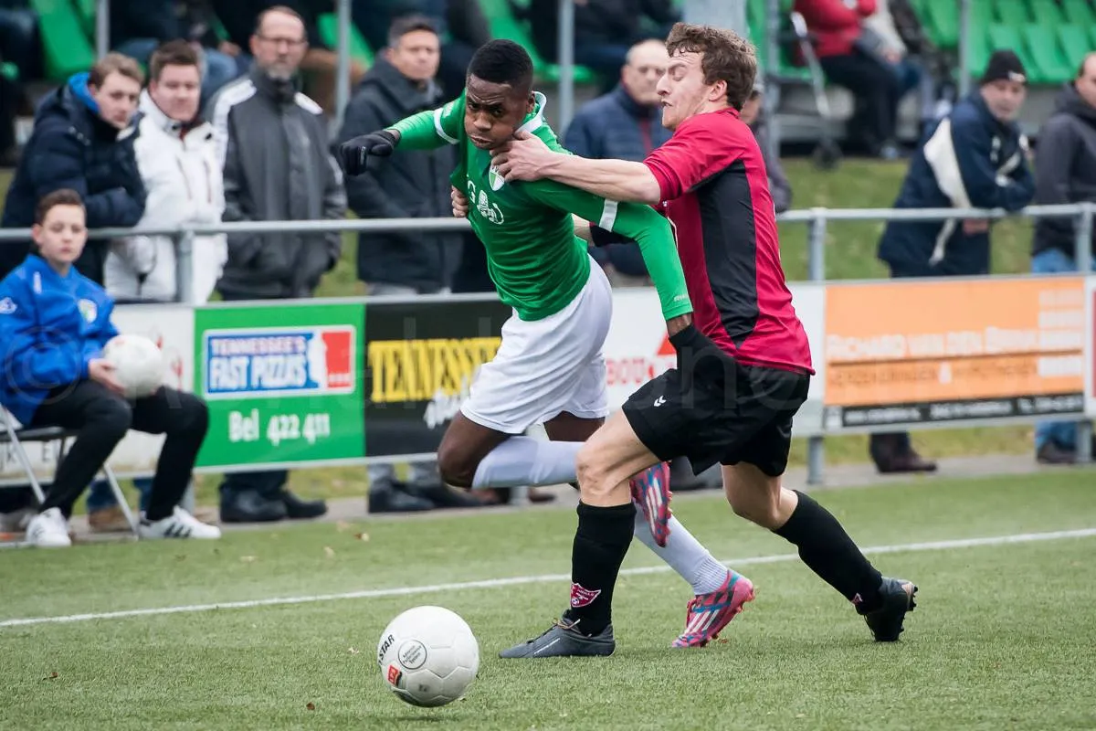 vvog rijnvogels ronald bonestroo