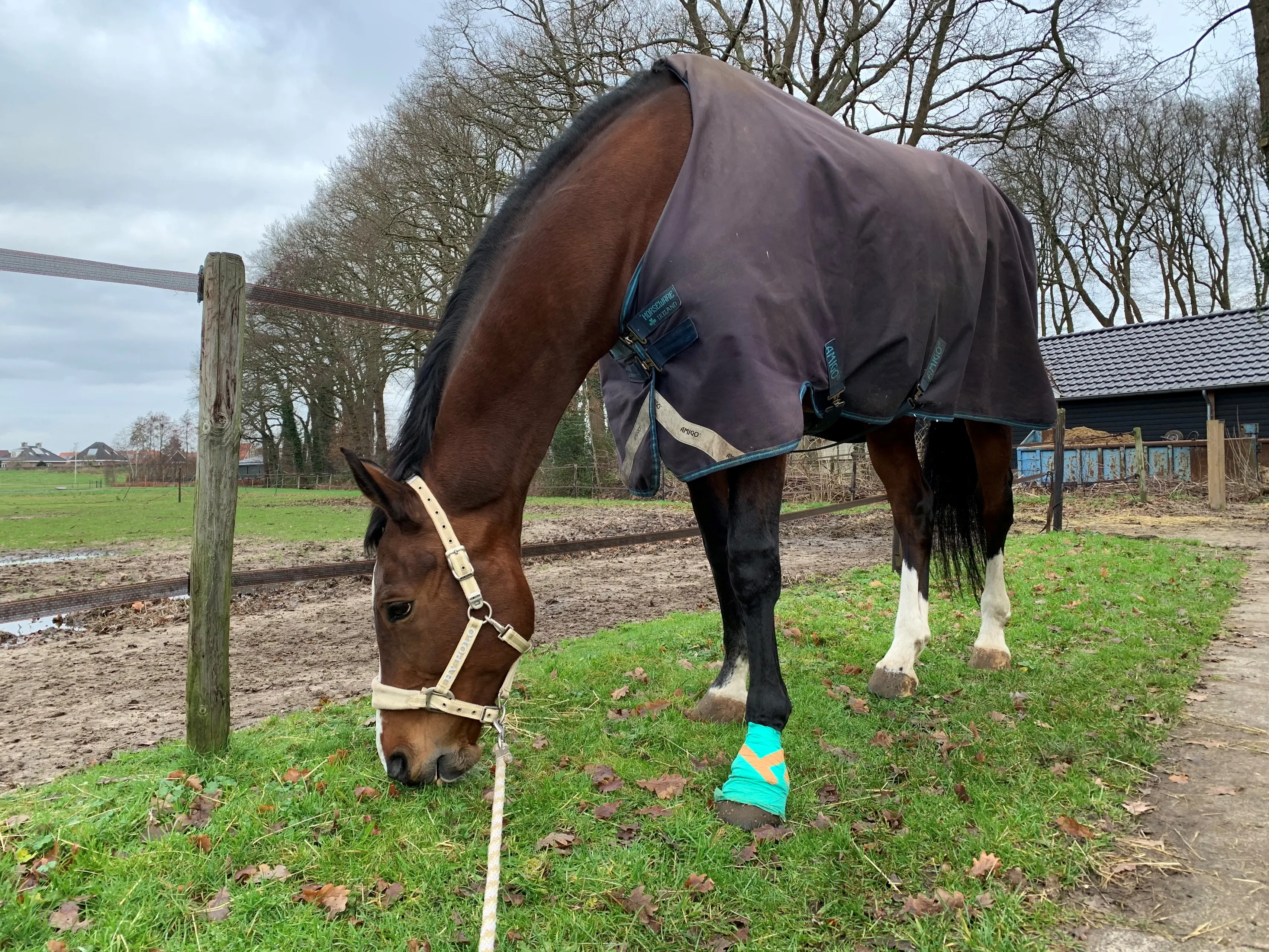 wanette 27 december veel complicaties