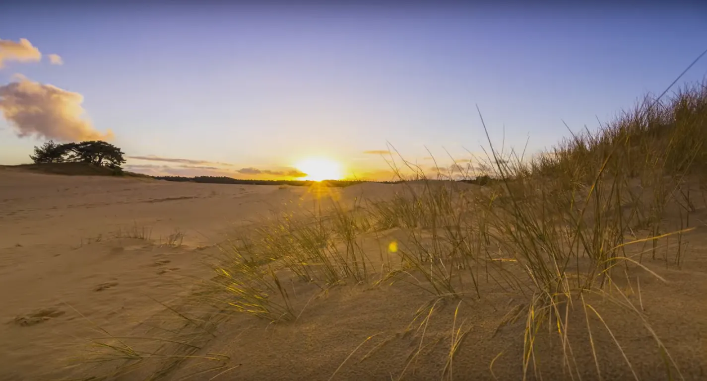 zandverstuiving film kloekke veluwe natuur still