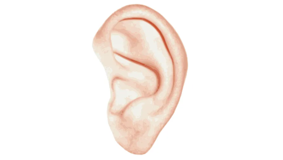 zonder titel 915 x 518 px