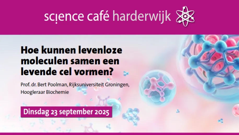 Ontwerp zonder titel (6)