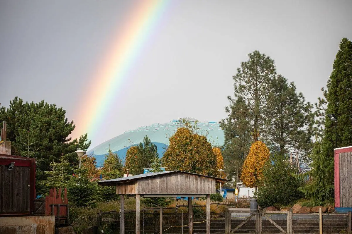 Het Dolfinarium in Harderwijk met een regenboog boven het park. Foto: Dolfinarium.