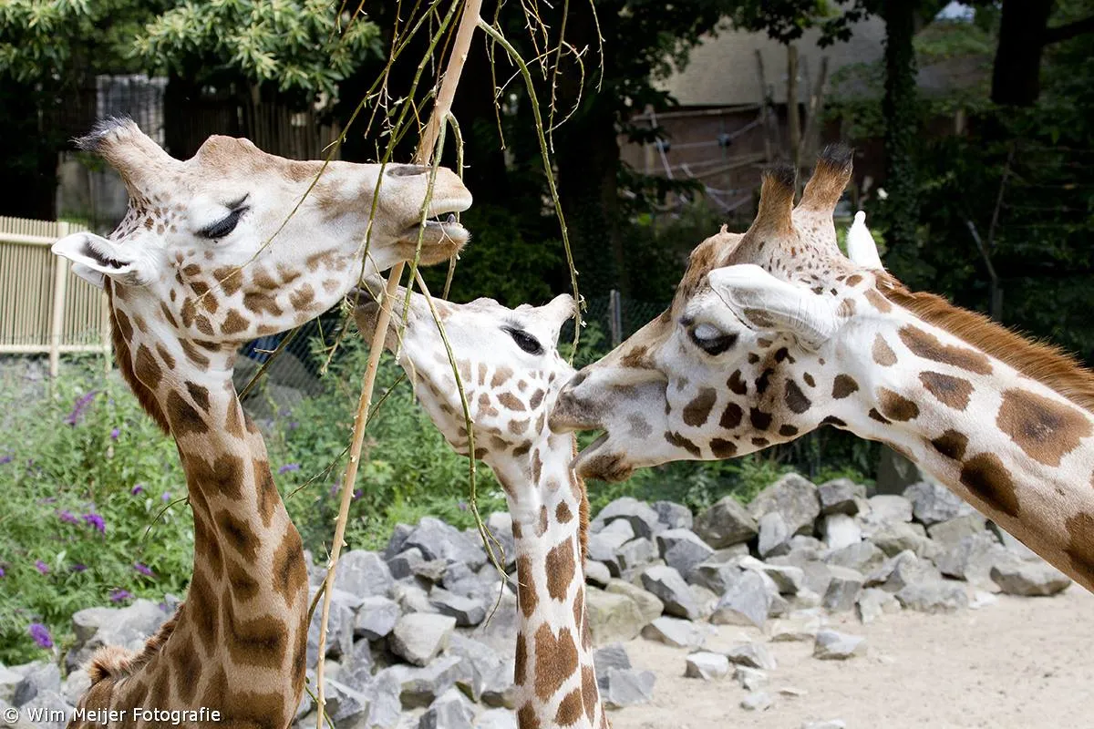 10542719 839488762729744 8774364805916376113 o