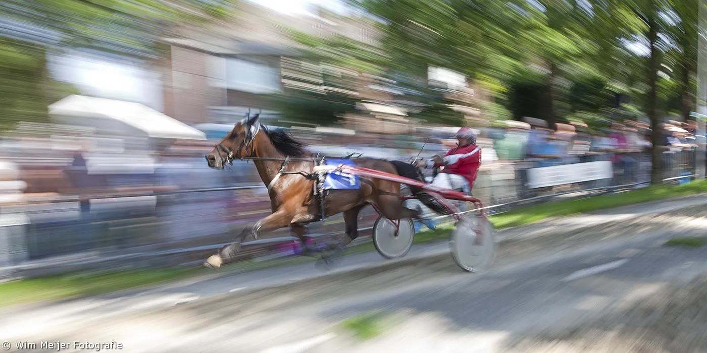 10669142 873593979319222 1427329876927946910 o