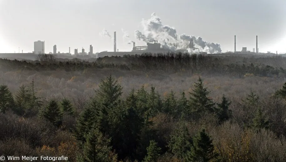 12362895 1143572612321356 7922233427441683455 o 1 915x518 1