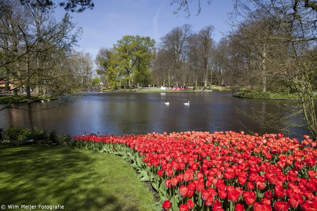 13786583753 6201b1cdf9 o