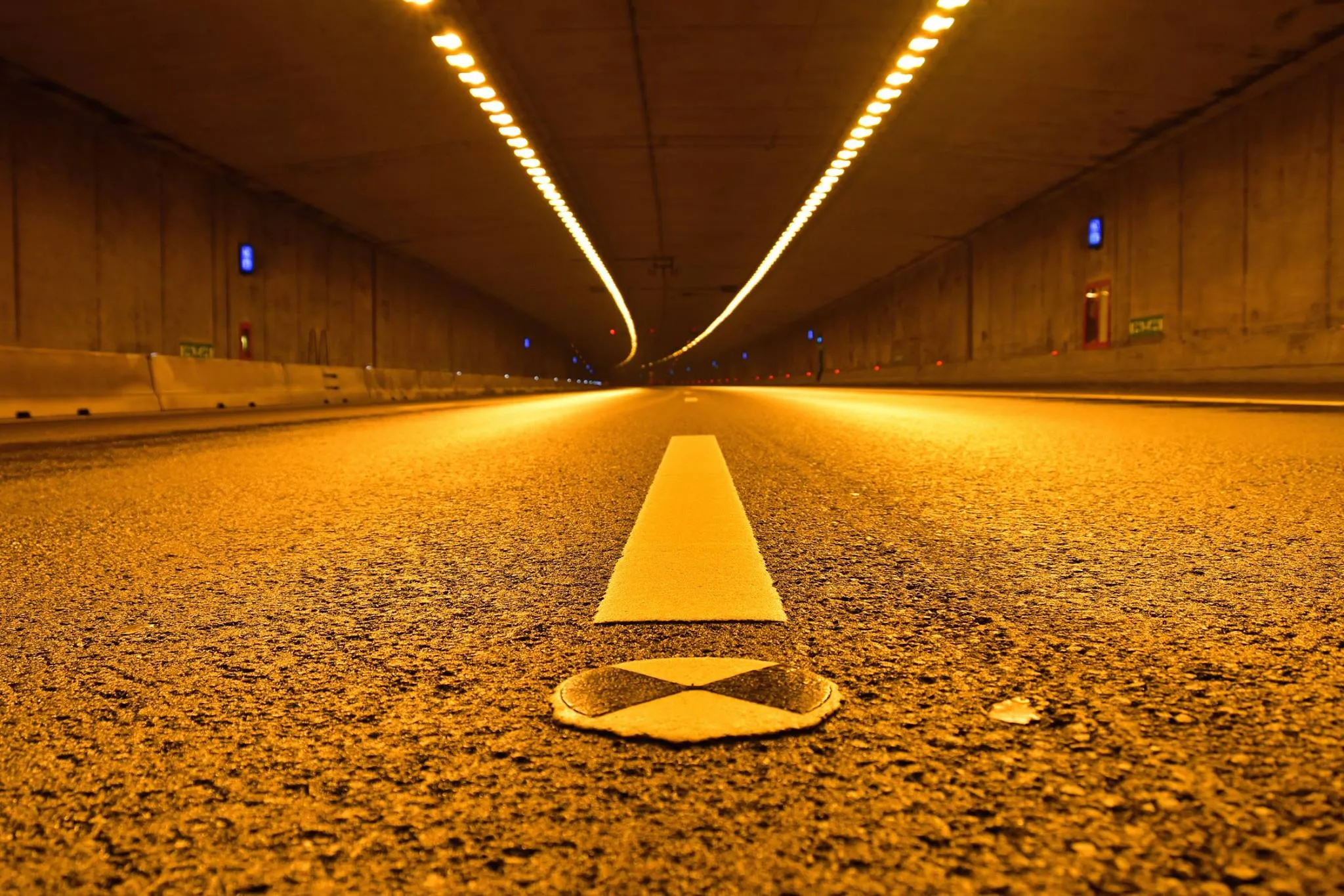 15195813 1541233229236992 6627345409003216804 o