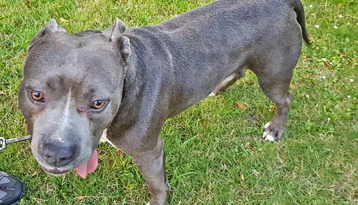 15773 wim hoofdbanner