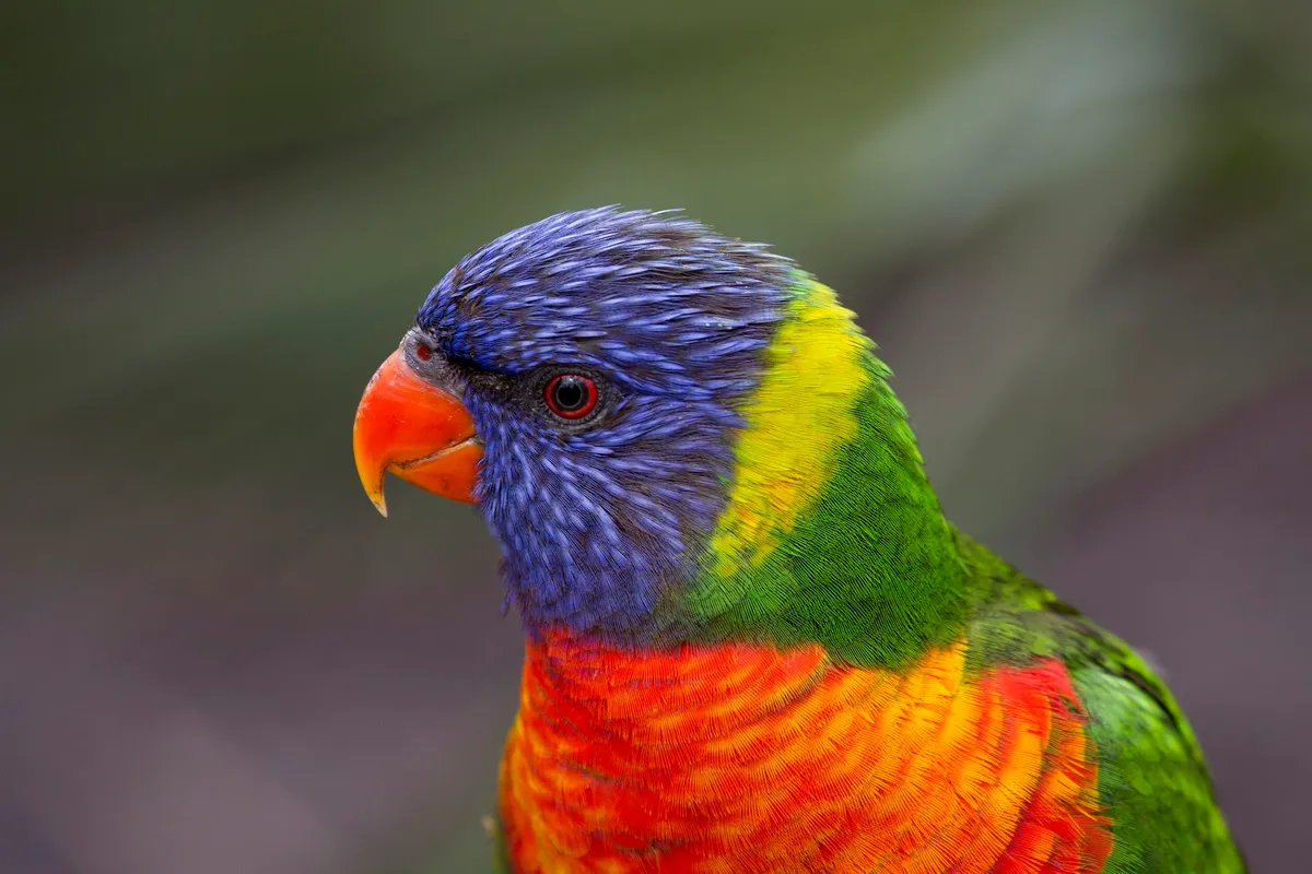 16853774058 0c972ba661 k