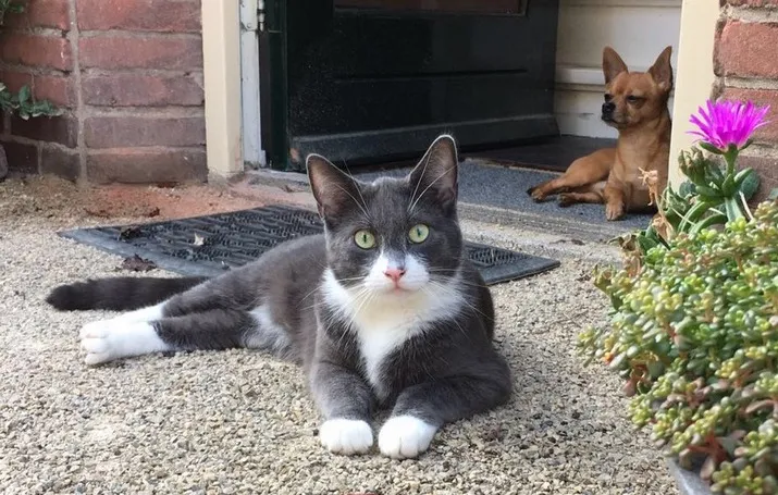 17881 wim 1 banner def