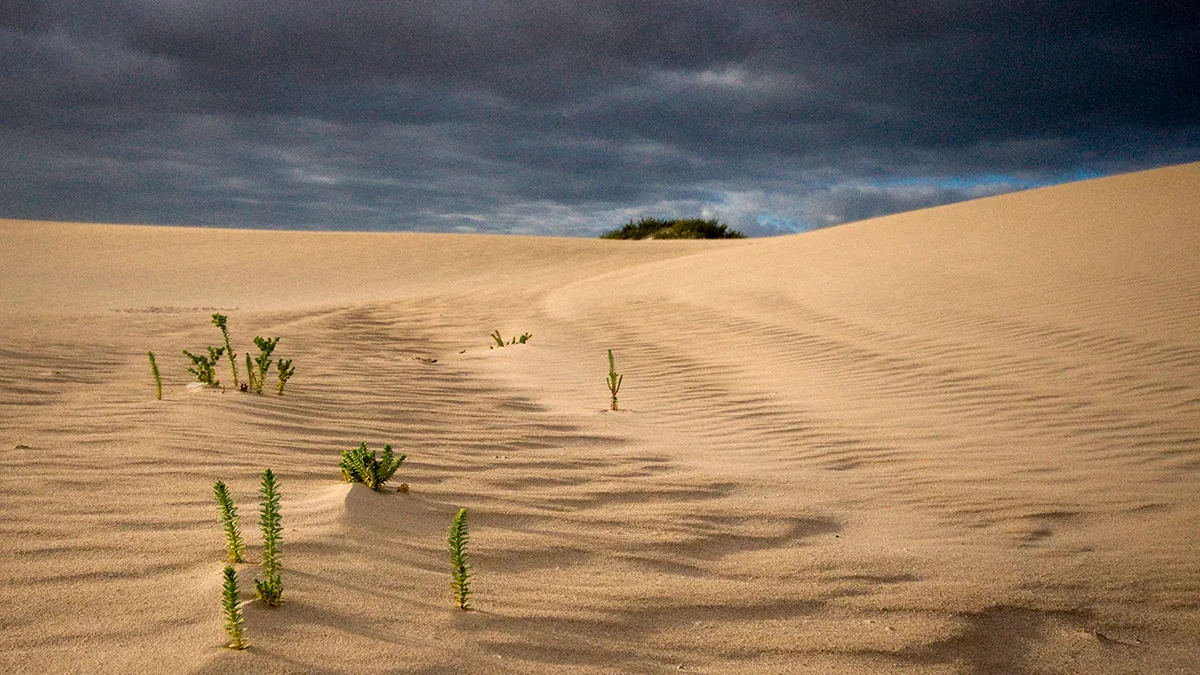 2016 09 18 0083 pb juli 2017 frw