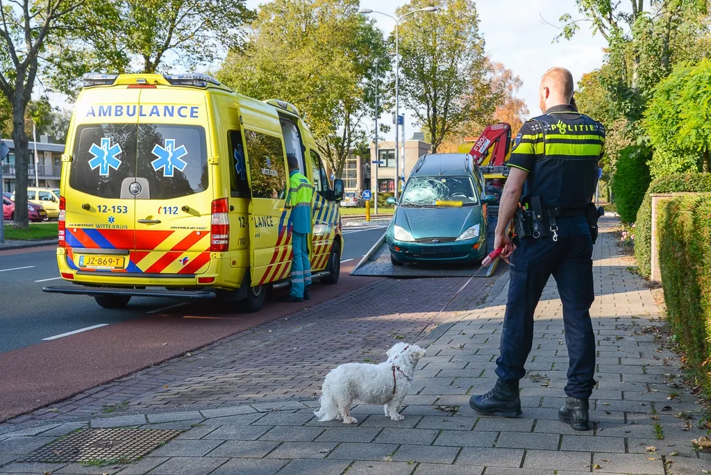 20161023 heemskerk1024 3