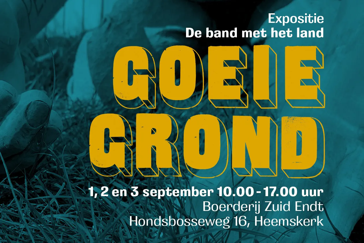 369649920 6150168651755485 2050521614569726959 n kopieren