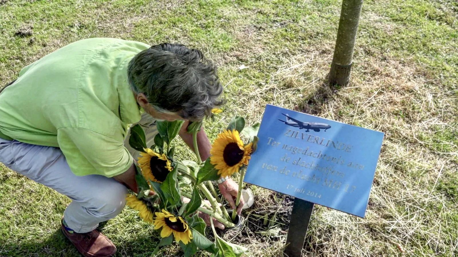 377444w1600r16 954ccc9cq90