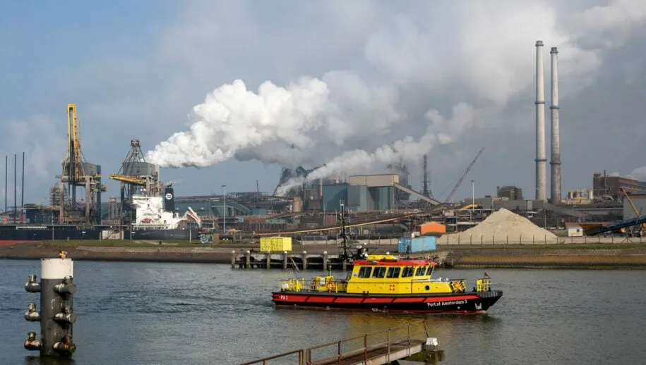 3z1a8849 tata wim meijer fotografie 915x518 1 915x518 1